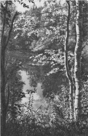 Дмитрий Зуев - Времена года