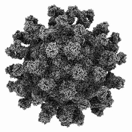 Вадим Левитин - Удивительная генетика