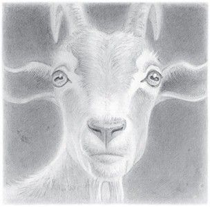 Терри Пратчетт - Корона пастуха