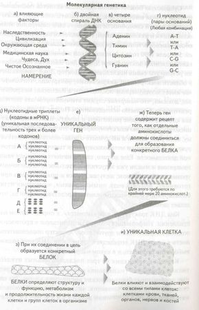 Роберт Джерард - Измени свою ДНК, измени свою жизнь
