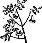 Дмитрий Зуев - Времена года