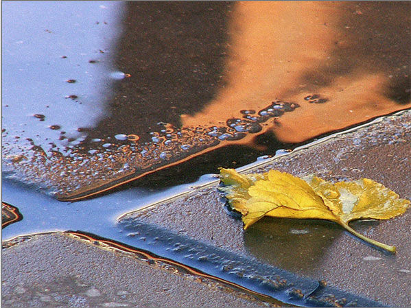 Юлия Арестова - Вечная осень