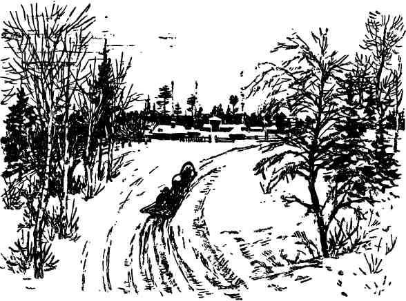 Дмитрий Зуев - Времена года