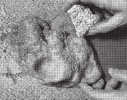 Татьяна Дорошенко - Изделия из керамики