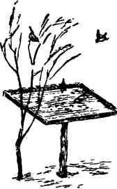 Дмитрий Зуев - Времена года