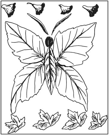 Татьяна Плотникова - Поделки из засушенных цветов и листьев