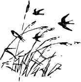 Дмитрий Зуев - Времена года