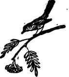 Дмитрий Зуев - Времена года