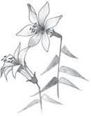 Коллектив авторов - Новый Завет в изложении для детей