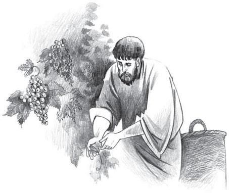 Коллектив авторов - Новый Завет в изложении для детей