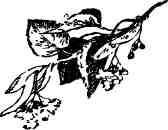 Времена года