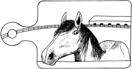 Светлана Ращупкина - Выжигание по дереву