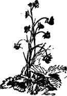 Дмитрий Зуев - Времена года