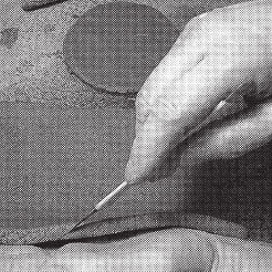 Татьяна Дорошенко - Изделия из керамики