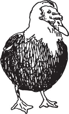 Сергей Кашин - Фермерское хозяйство. Доступное и успешное