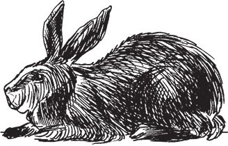 Сергей Кашин - Фермерское хозяйство. Доступное и успешное