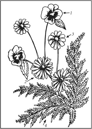 Татьяна Плотникова - Поделки из засушенных цветов и листьев