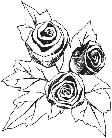 Татьяна Плотникова - Поделки из засушенных цветов и листьев