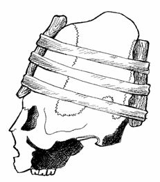 Елена Грицак - Популярная история медицины