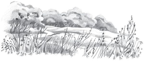 Коллектив авторов - Новый Завет в изложении для детей