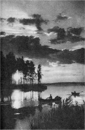 Дмитрий Зуев - Времена года