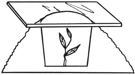 Светлана Ермакова, Светлана Хворостухина - Рассада на вашем участке. Уникальные...