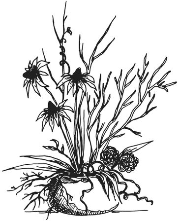 Татьяна Плотникова - Поделки из засушенных цветов и листьев