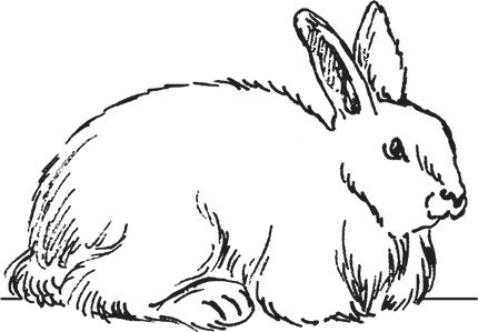 Сергей Кашин - Фермерское хозяйство. Доступное и успешное