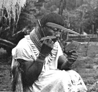 Елена Грицак - Популярная история медицины