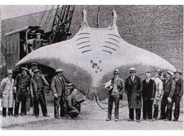 Игорь Акимушкин - Тропою легенд