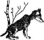 Времена года