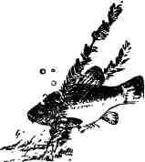 Дмитрий Зуев - Времена года