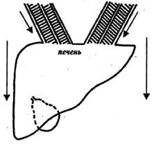 Владимир Гусев - Возвращение в молодость