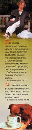 Александр Хакимов - Реинкарнация. Размышления