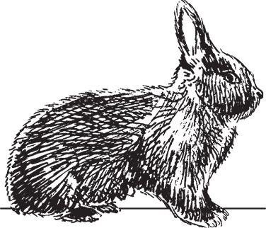 Сергей Кашин - Фермерское хозяйство. Доступное и успешное