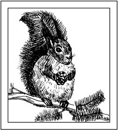 Светлана Ращупкина - Выжигание по дереву