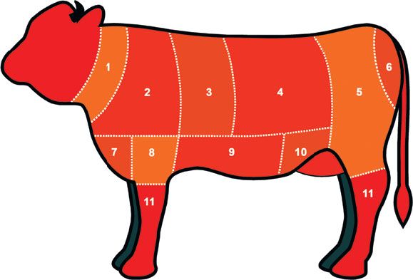 Надежда Бондаренко, Наталья Шинкарёва - Кулинарная энциклопедия. Том 6. Г...