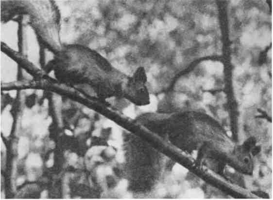 Дмитрий Зуев - Времена года