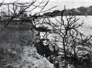 Ричард Флинт - История Земли