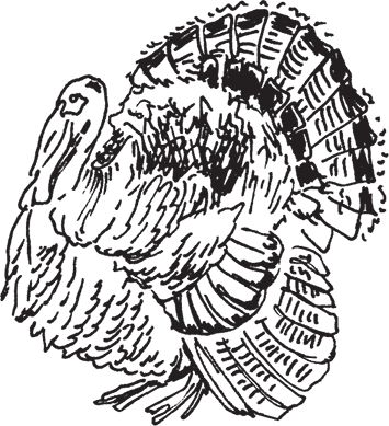 Сергей Кашин - Фермерское хозяйство. Доступное и успешное