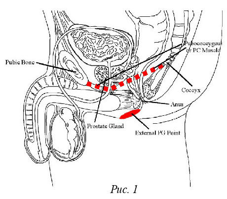 Варфоломей Собейкис - Библия секса
