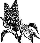 Дмитрий Зуев - Времена года