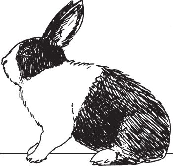 Сергей Кашин - Фермерское хозяйство. Доступное и успешное