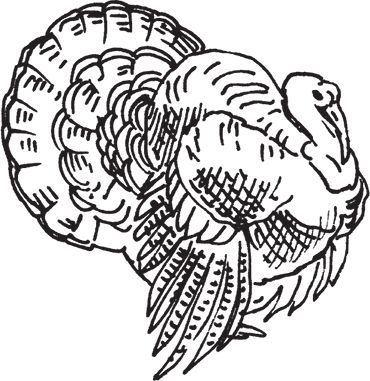 Сергей Кашин - Фермерское хозяйство. Доступное и успешное