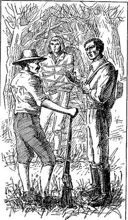 Густав Эмар - Том 20. Фланкер. Новая Бразилия