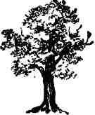 Дмитрий Зуев - Времена года