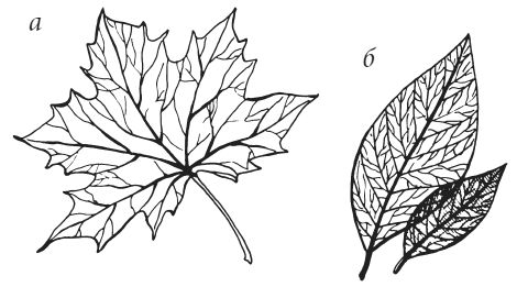 Татьяна Плотникова - Поделки из засушенных цветов и листьев