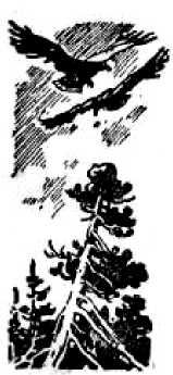 Сергей Кулик - Приключения капитана Кузнецова