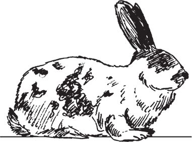 Сергей Кашин - Фермерское хозяйство. Доступное и успешное