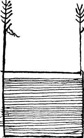 Макс Поляновский, Илья Быков - С букварем у гиляков. Сахалинские дневники...